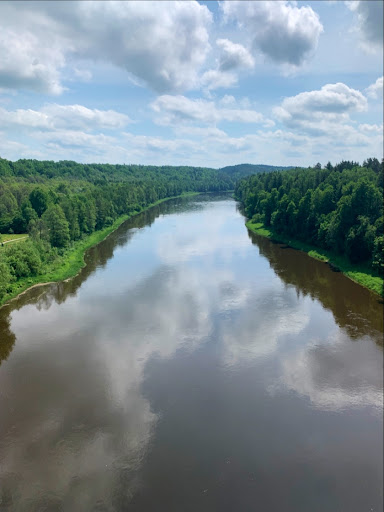 Alytaus pėsčiųjų tiltas