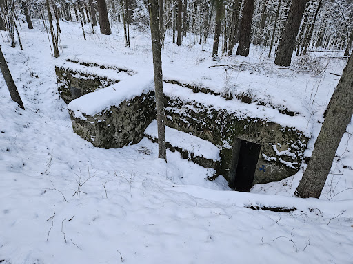 Gynybinės linijos įtvirtinimas