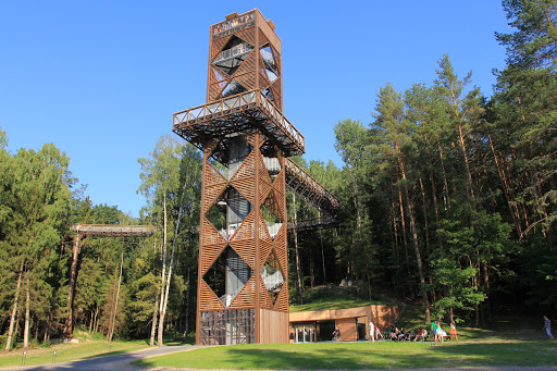 Medžių lajų tako kompleksas
