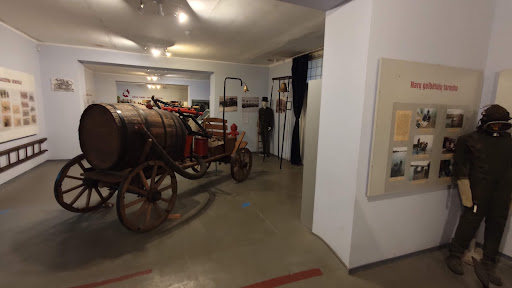 Lietuvos aviacijos muziejus