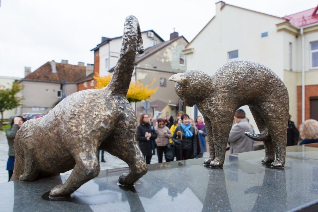 Kačių kiemelis 1 kaciu kiemelis
