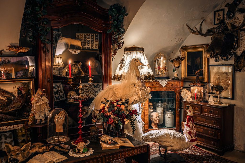 panoptikumas pakruojo dvaro